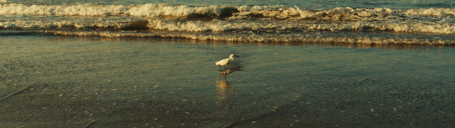 Shades of the Sea